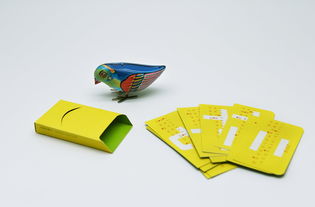 喜鵲35周年 無界設(shè)計(jì)，翱翔于平面與包裝之間的創(chuàng)新美學(xué)